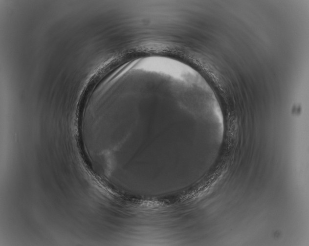 X0000097590399200803280932