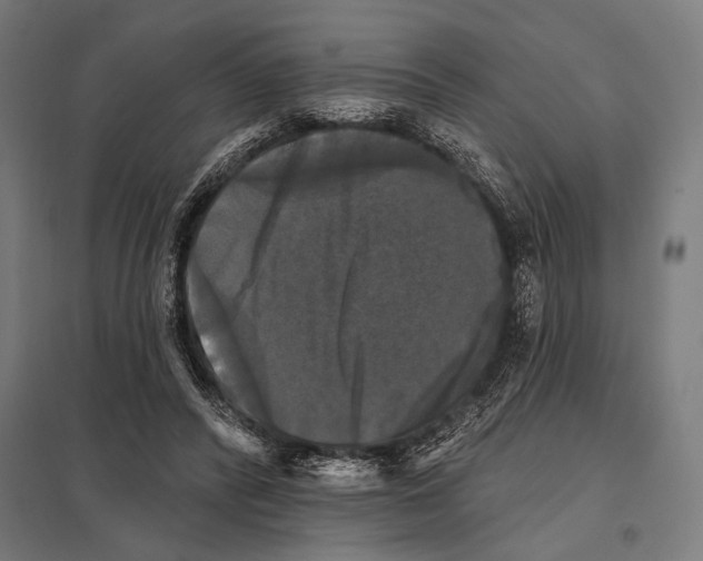 X0000097590400200803280932