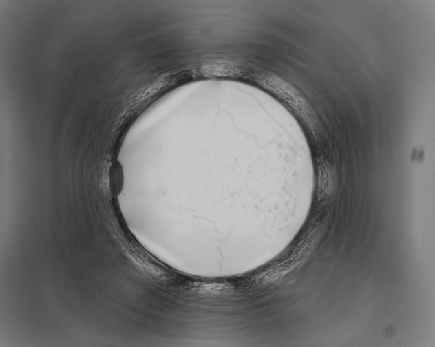 X0000097590401200803280932