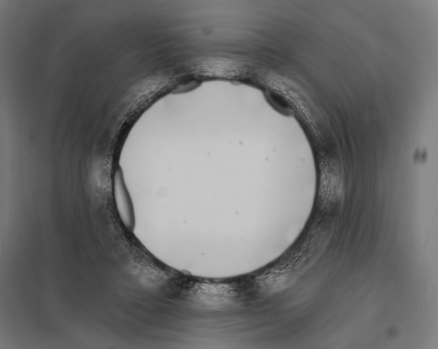 X0000097590403200803280932