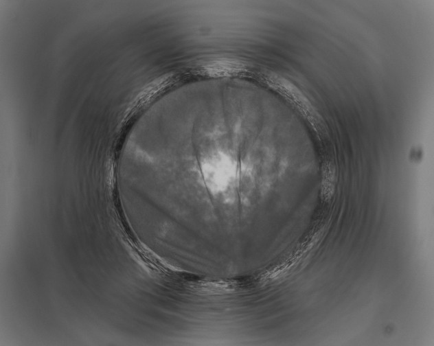 X0000097590405200803280932