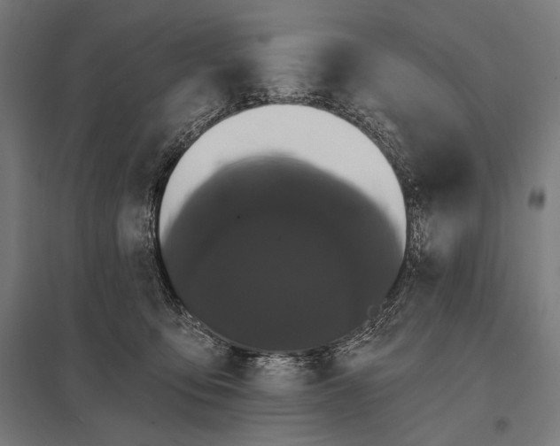 X0000097590419200803280932