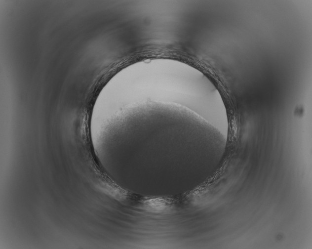 X0000097590423200803280932