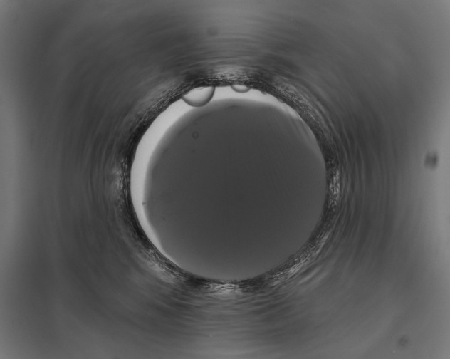 X0000097590424200803280932