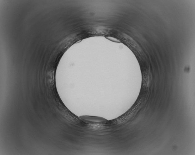 X0000097590425200803280932