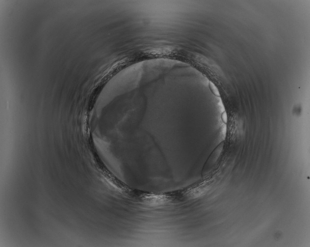 X0000097590428200803280932