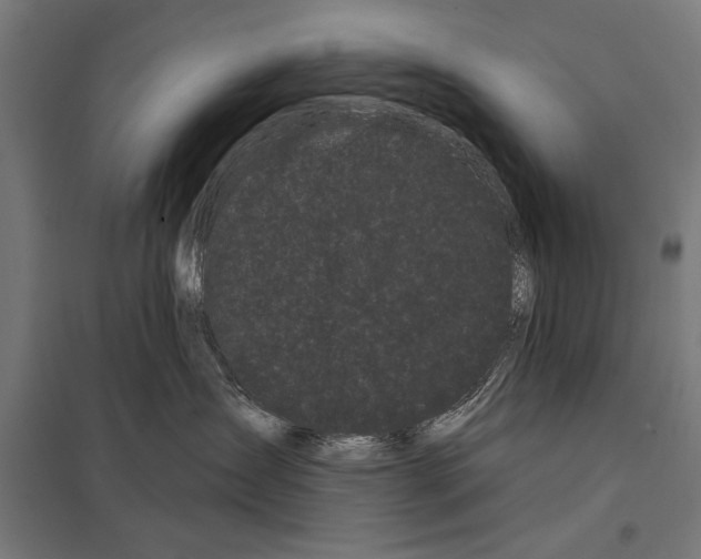 X0000097590431200803280932