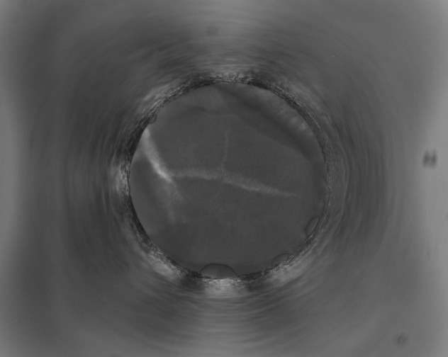 X0000097590432200803280932