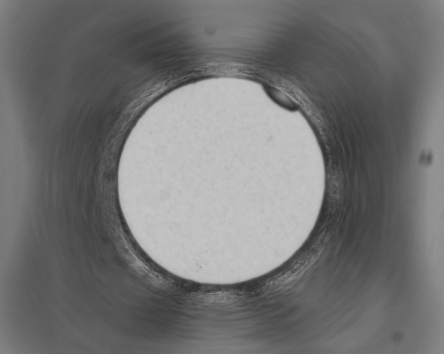 X0000097590433200803280931