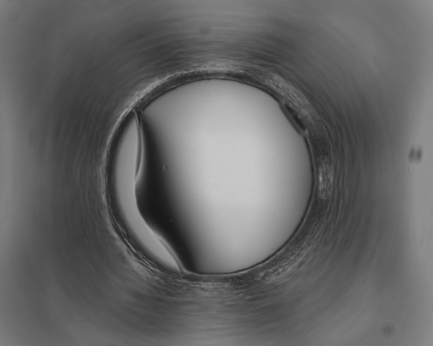 X0000097590436200803280931