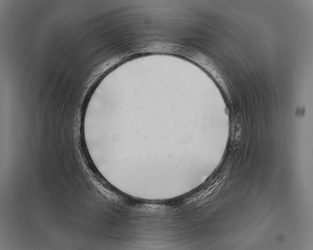 X0000097590437200803280931