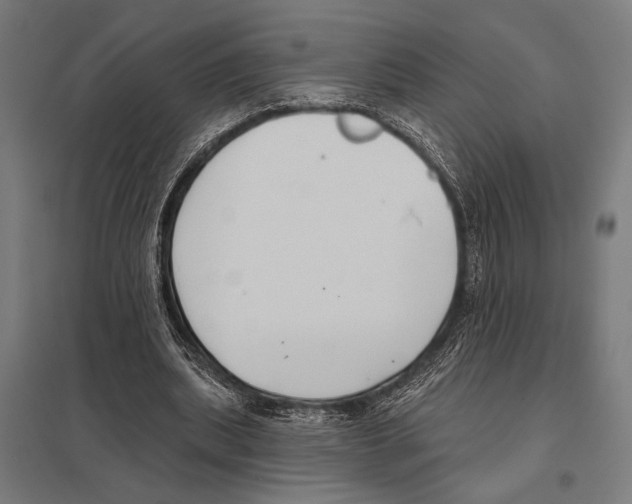 X0000097590439200803280931