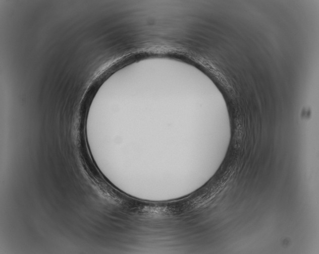 X0000097590440200803280931