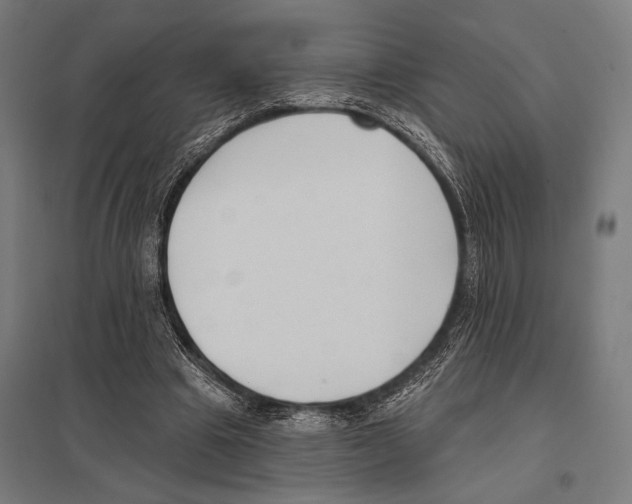 X0000097590441200803280931