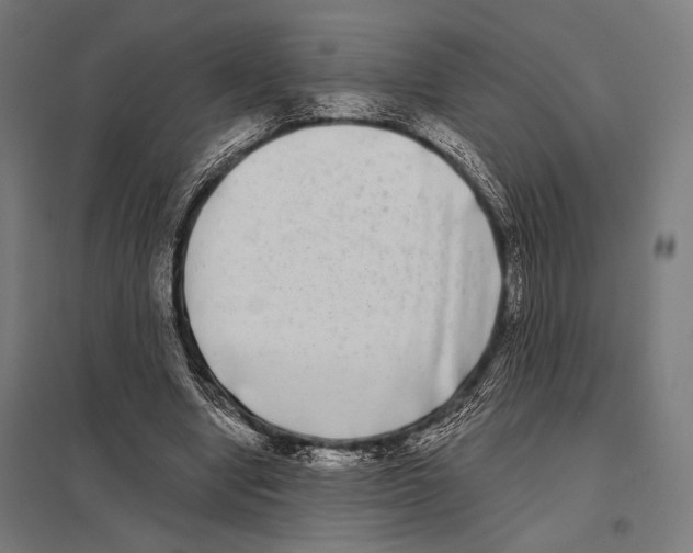 X0000097590442200803280931