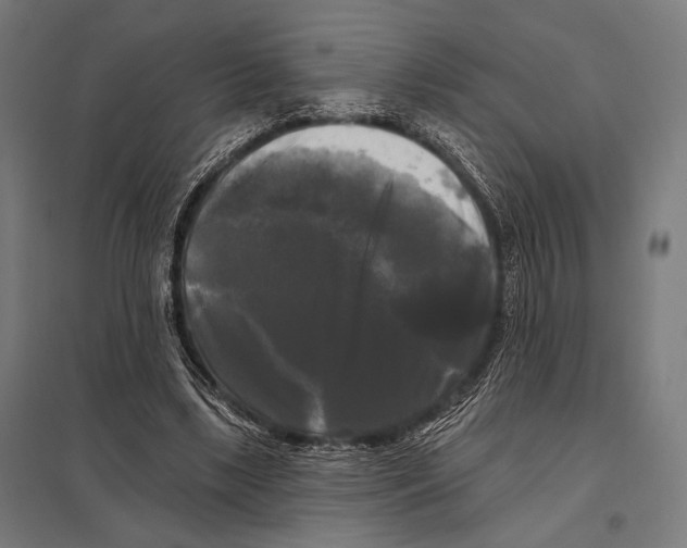 X0000097590443200803280931