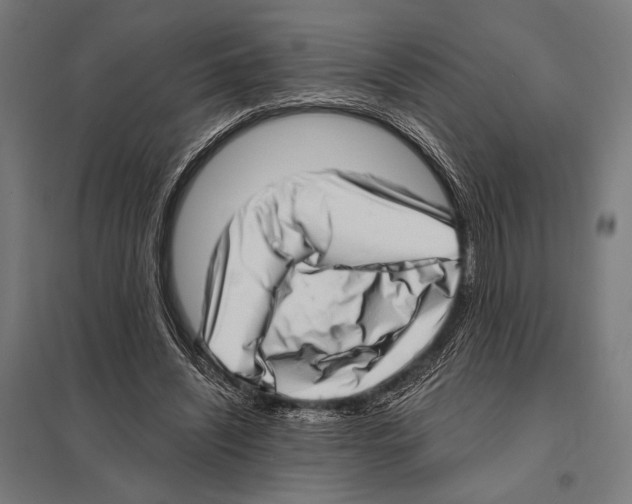 X0000097590444200803280931