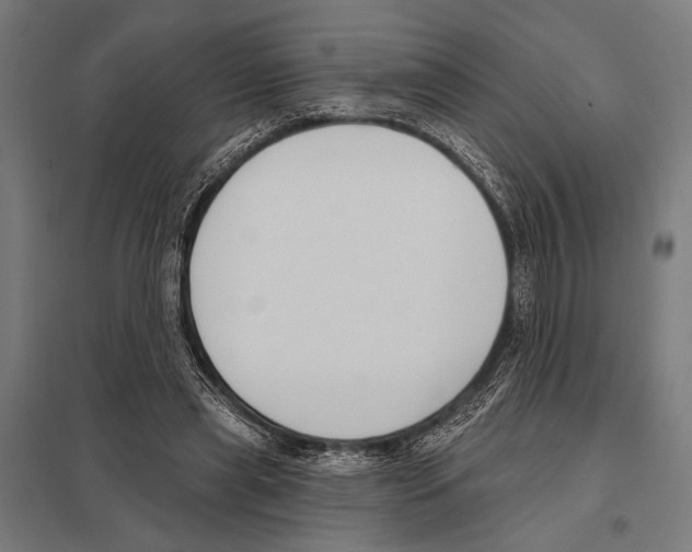 X0000097590445200803280931