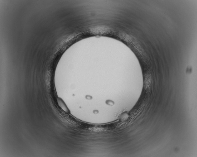 X0000097590448200803280931