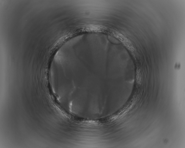 X0000097590449200803280931