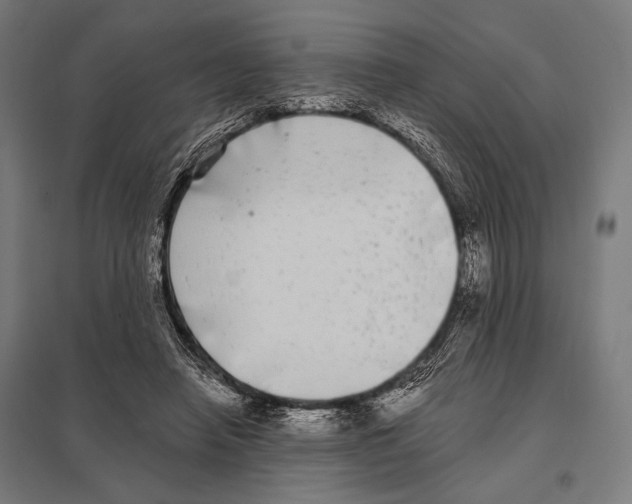 X0000097590450200803280931