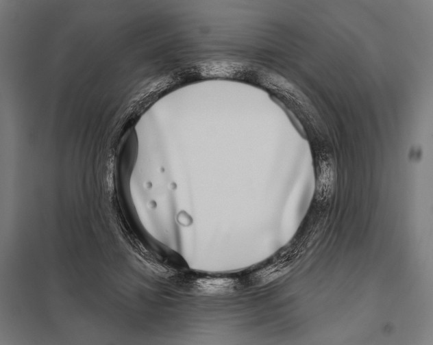 X0000097590452200803280931