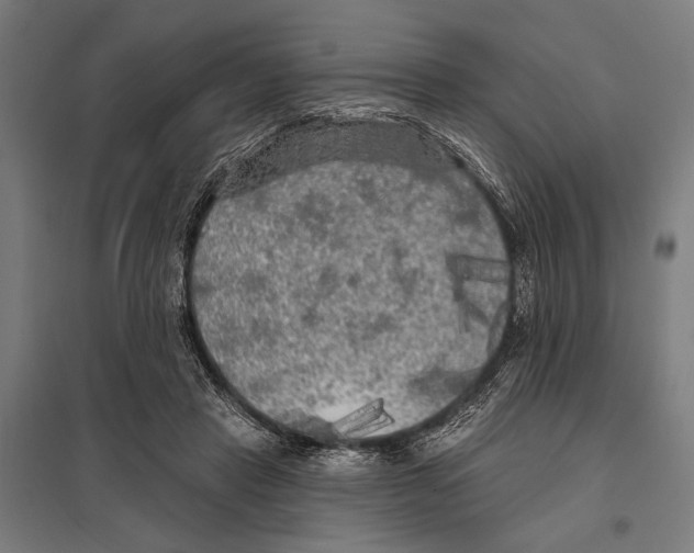X0000097590453200803280931