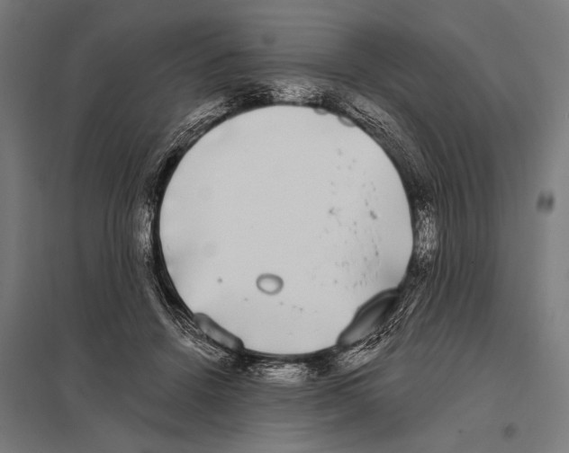 X0000097590456200803280931