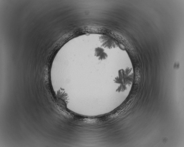 X0000097590457200803280931