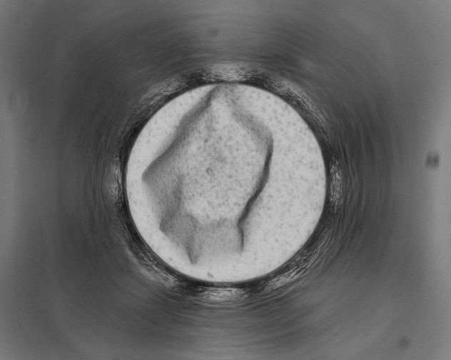 X0000097590459200803280931