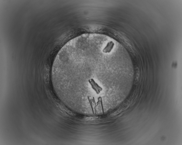 X0000097590461200803280931