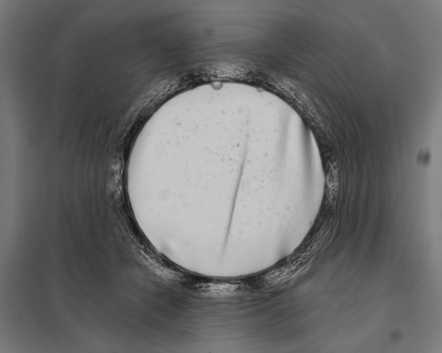 X0000097590462200803280931