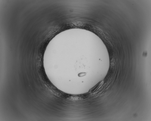 X0000097590464200803280931