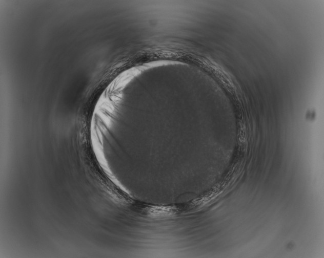 X0000097590465200803280931