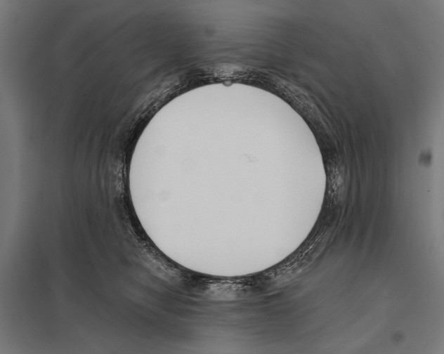 X0000097590470200803280932