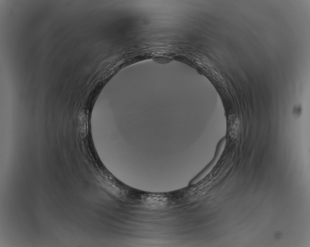 X0000097590471200803280932