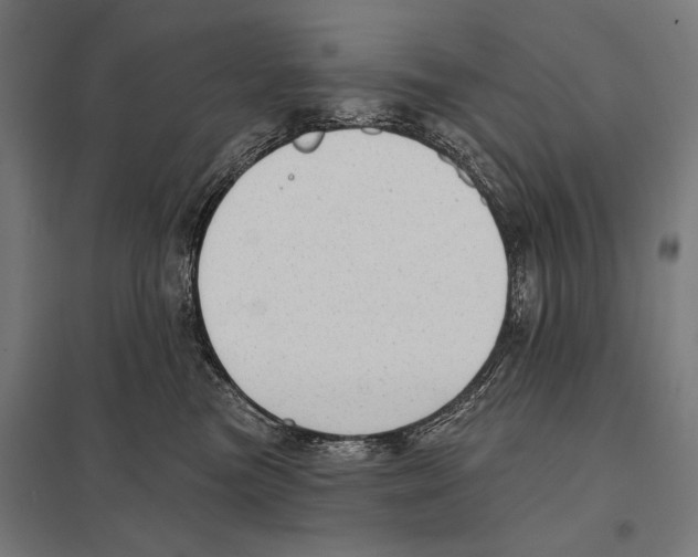 X0000097590473200803280932