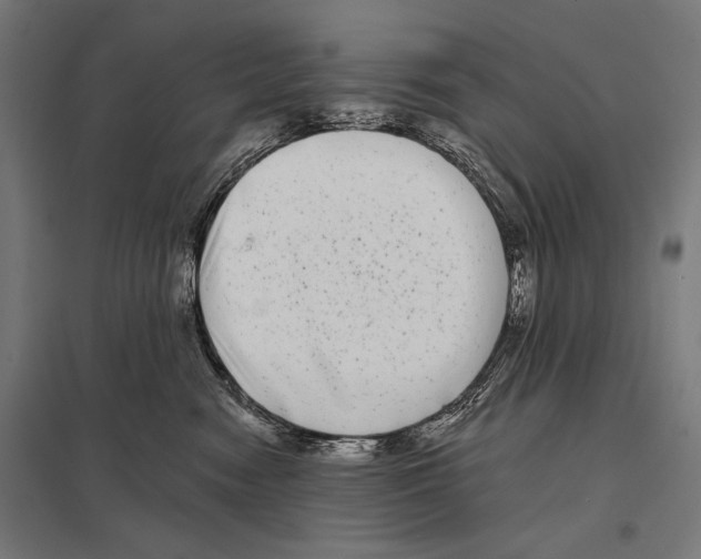 X0000097590474200803280932