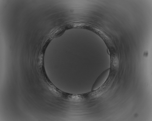 X0000097590475200803280932