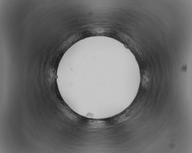 X0000097590476200803280932