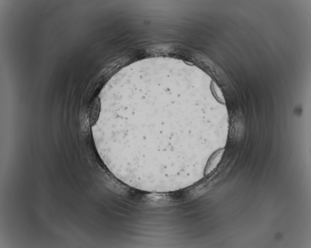 X0000097590477200803280932