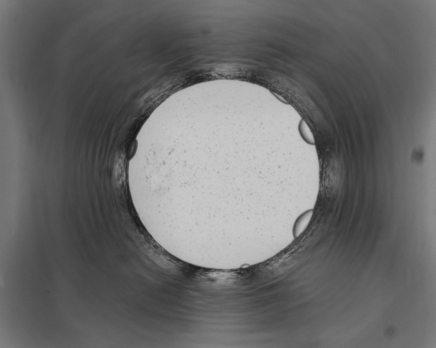 X0000097590478200803280932