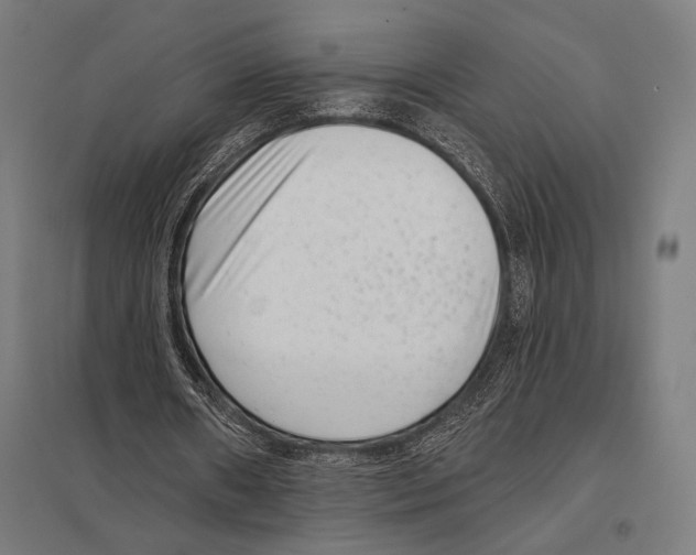 X0000097590482200803280931