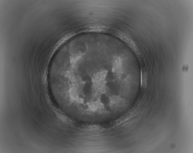 X0000097590483200803280931