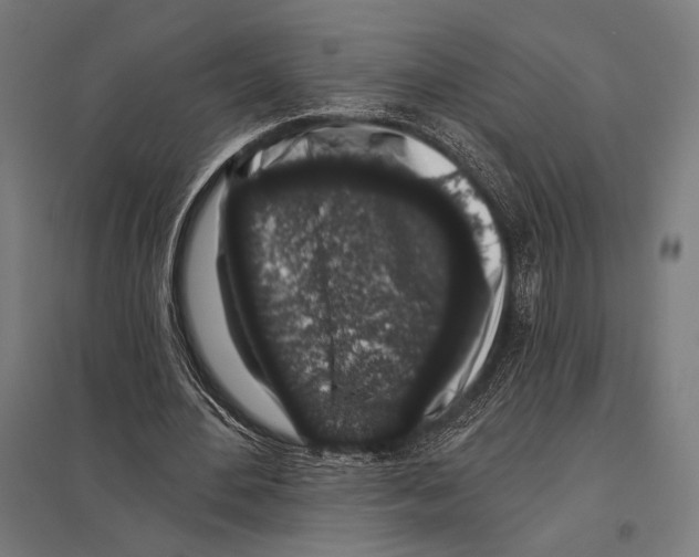 X0000097590484200803280931