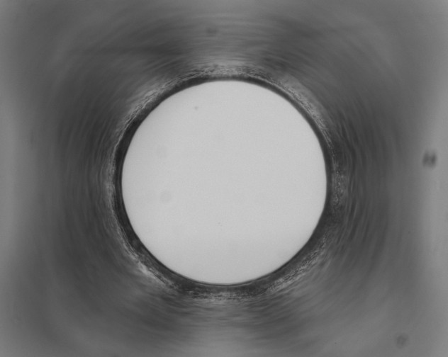 X0000097590485200803280931