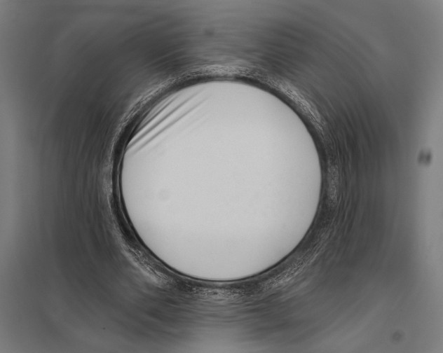 X0000097590486200803280931