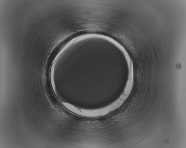 X0000097590488200803280931