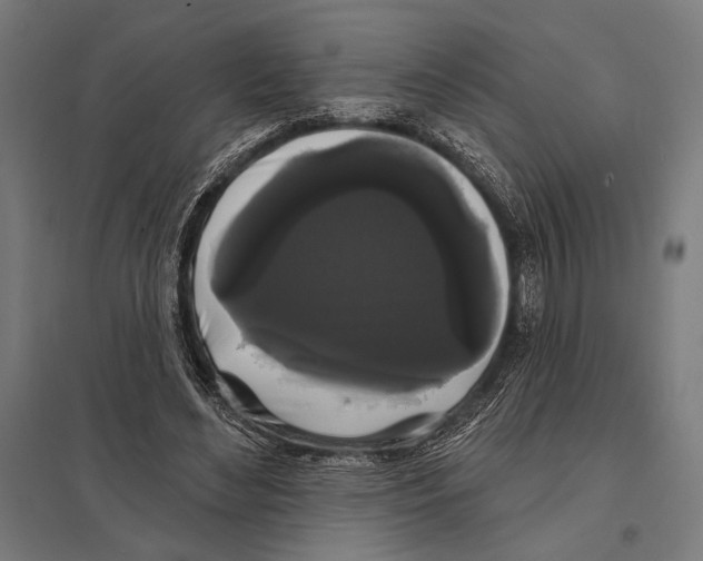 X0000097590492200803280931