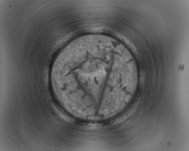 X0000097590493200803280931